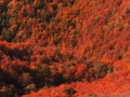 2012-10-05_10482