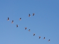 2011-03-01_0762_edytowany-1 2011-03-01_0762_edytowany-1