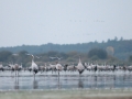 2011-10-05_3863_edytowany-1