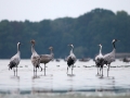 2011-10-05_3874_edytowany-1