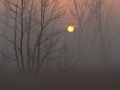 2012-03-23_7001 2012-03-23_7001