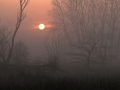 2012-03-23_7005 2012-03-23_7005