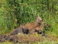 09-07_5249_edytowany-1