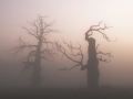 2012-10-20_0795 2012-10-20_0795